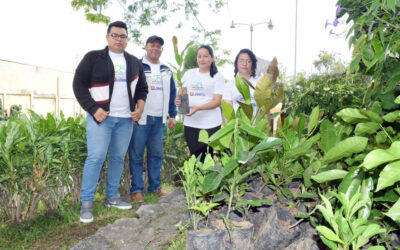 Celebración del Día del Medio Ambiente
