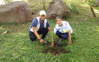 Campaña «Siembra un árbol, Cosecha vida»