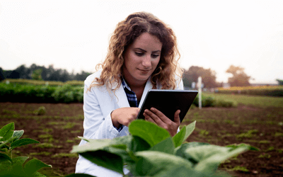 Ingeniería en Innovación Agroindustrial Ingeniería en Innovación Agroindustrial