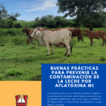 Buenas prácticas para prevenir la contaminación de la leche por Aflatoxina M1.