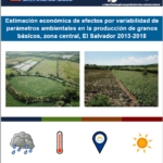 Estimación económica de efectos por variabilidad de parámetros ambientales en la producción de granos básicos, zona central, El Salvador 2013–2018.