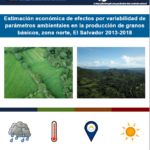Estimación económica de efectos por variabilidad de parámetros ambientales en la producción de granos básicos, zona norte, El Salvador 2013–2018.