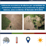 Estimación económica de efectos por variabilidad de parámetros ambientales en la producción de granos básicos, zona occidental, El Salvador 2013–2018.