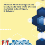 Aflatoxin M1 in Nicaraguan and locally made hard white cheeses marketed in San Miguel El Salvador.