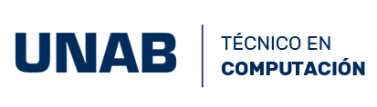 Técnico en Computación