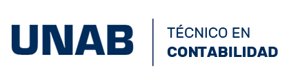 Técnico en Contabilidad