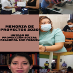 Memoria de Proyectos y Actividades de Proyección Social, San Miguel, 2020.