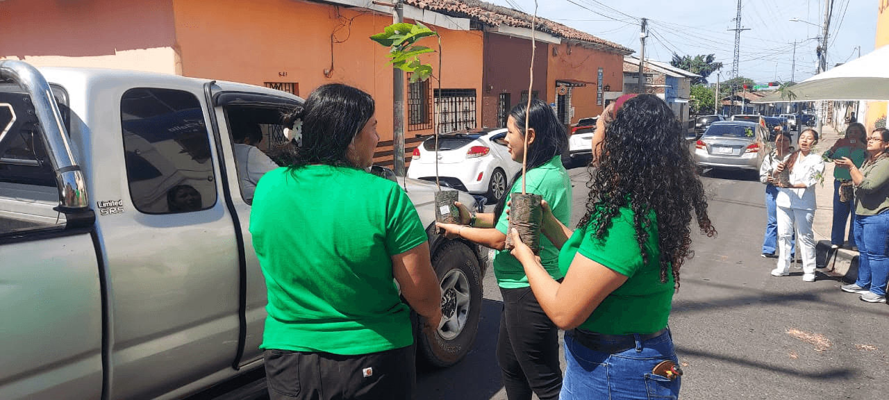 Brotes de Vida