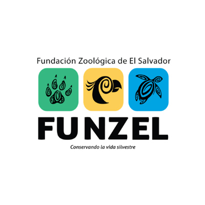 FUNZEL