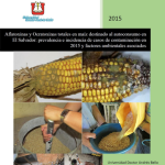 Aflatoxinas y ocratoxinas totales en maíz destinado al autoconsumo en El Salvador: prevalencia e incidencia de casos de contaminación 2015 y factores ambientales asociados