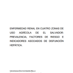 Enfermedad renal en cuatro zonas de uso agrícola de El Salvador: prevalencia, factores de riesgos e indicadores asociados de difusión hepática